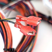 WPC-95 Cabinet Wiring Harness