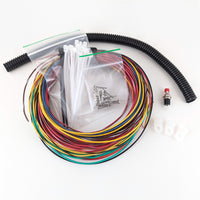 Early Bally Coin Door Wiring Harness DIY Kit